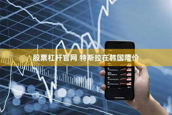 股票杠杆官网 特斯拉在韩国降价
